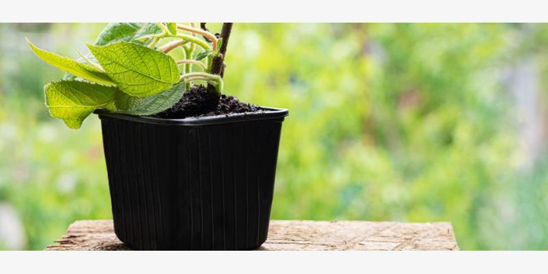 Thermoformed Pots