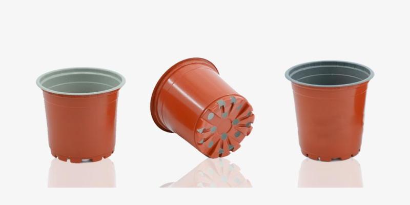 Thermoformed Pots